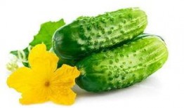 花臂老师网红吃瓜,揭秘娱乐圈幕后真相